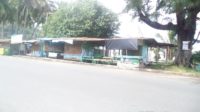 Pedagang Telur Penyu Menghilang