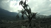 Mantan Reporter TV One Tewas Akibat Asap Sinabung