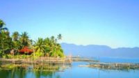 Buang Bangkai Ikan Mati, Danau Maninjau Terancam Tercemar