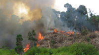 Satu Hektar Lahan Perbukitan Terbakar