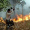 Kebakaran hutan. FOTO/INDHIE