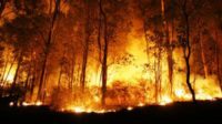Kurangi Kabut Asap, BNPB Modifikasi Cuaca Besok