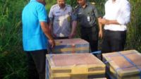Tak Dilengkapi Surat, 500 Ekor Burung Ciblek Diamankan