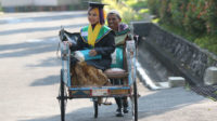 Becak Sang Ayah Tercinta Antarkan Wisudawan Terbaik