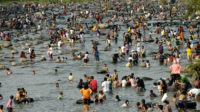 Warga Padati Sungai, Lakukan Tradisi Balimau