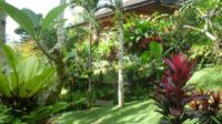 HIlangkan Stres dengan Berkebun, Mau Coba?