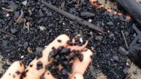 Ada Batu Bara Ditumpukan Sampah di Pantai Padang