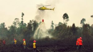 Riau, Sumsel dan Kalbar Darurat Karhutla
