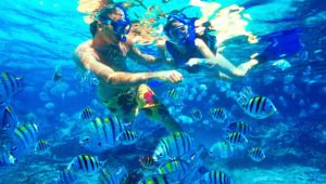 NgeTour Gratis ke Pulau Suwarnadwipa