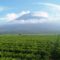 Gunung Kerinci, Jambi
