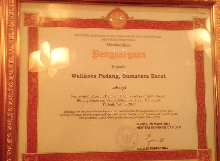 Penghargaan dalam bidang Usaha Mikro Kecil dan Menengah (UKM) dari Kementerian Koperasi dan UKM RI. 