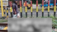 Pelajar Tewas Tertabrak Kereta Api di Padang