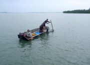 KKP Awasi Izin Usaha Pulau Kecil Jakarta