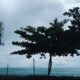 cuaca-sumbar-tiga-hari-ke-depan,-hujan-disertai-petir-ancam-sejumlah-wilayah