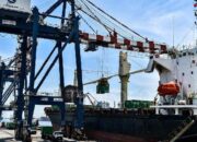 Tata Metal Lestari Genjot Ekspor Baja ke AS hingga 133%