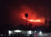 Damkar Solok Berjibaku Padamkan Puluhan Titik Api