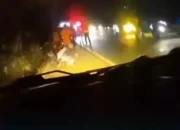 Truk Kayu Tabrak Minibus di Pelalawan, Lima Meninggal Dunia