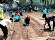SMPN 2 Padang Pariaman Kembangkan Ladang Palawija, Terapkan Kurikulum Merdeka
