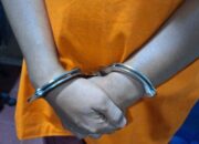 Simpan Sabu, IRT Diciduk Satresnarkoba Pesisir Selatan