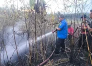 Karhutla Mengancam, Sumbar Aktifkan Siaga Darurat Hingga September