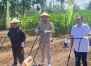 Ketahanan Pangan, Rahmat Saleh Dorong Lahan Tidur Harus Dimanfaatkan di Sumbar