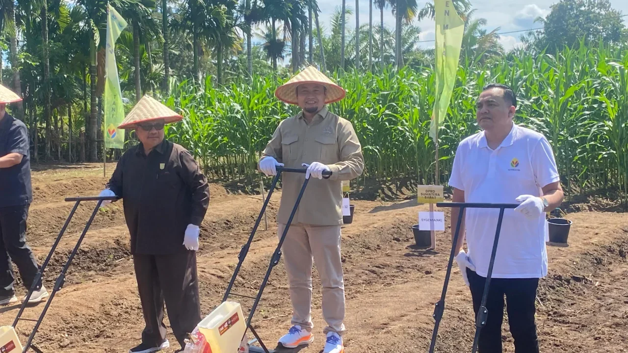 Program Penanaman Jagung Untuk Ketahanan Pangan Nasional di Sumatera Barat di Kabupaten Padang Pariaman, Kamis (24/7/2025).