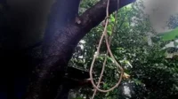 Warga Pessel Gantung Diri di Pohon, Diduga Terlilit Ekonomi