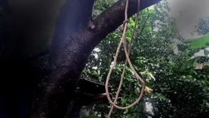 Warga Pessel Gantung Diri di Pohon, Diduga Terlilit Ekonomi