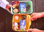Kementrans Bangun Rumah Produksi Pangan, Topang Program Makan Bergizi