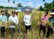 Panen Raya SPM Garagahan: Bupati dan DPR RI Apresiasi