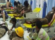 Korupsi Sertifikasi K3 Mencuat ketika Angka Kecelakaan Kerja Meningkat
