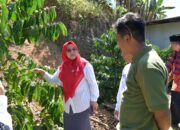 Generasi Muda Palupuah Kelola Kopi, TP-PKK Apresiasi