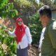 ny.-merry-benni-warlis-apresiasi-kopi-bundo-pagadih,-angkat-peran-perempuan-melalui-kups-agroforestari-alam-merdeka