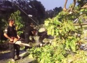 Pohon Tumbang Timpa Rumah di Padang, BPBD Evakuasi!