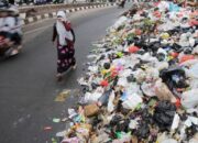 Danantara Jadi Katalis Waste to Energy untuk Mengatasi Masalah Sampah