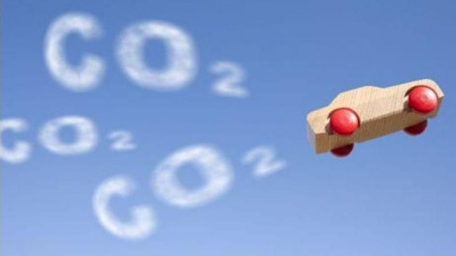 benda-ajaib-ini-serap-co2-seperti-spons,-setara-pohon-tapi-buatan-manusia