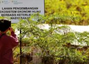 PLN EPI Gandeng Polandia Bangun Lima Pabrik Biomassa