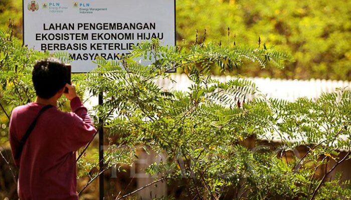 PLN EPI Gandeng Polandia Bangun Lima Pabrik Biomassa