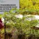 pln-epi-bakal-bangun-5-pabrik-produk-biomassa-bareng-perusahaan-polandia