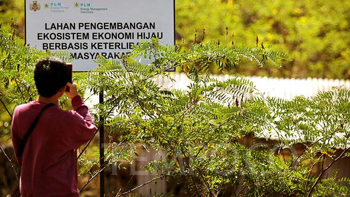 pln-epi-bakal-bangun-5-pabrik-produk-biomassa-bareng-perusahaan-polandia