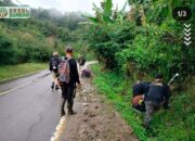 Harimau Sumatera Muncul, BKSDA Agam Lakukan Penghalauan