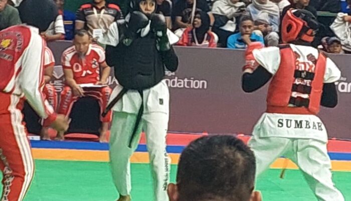 Dewi Yosilia Sabet Perunggu, Bidik Emas PON Beladiri