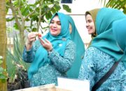 Parma 1 Kubang Putiah Sabet Nominasi Lomba Dasawisma