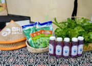 BRI Panen BRInita: Wujudkan Ketahanan Pangan di Perkotaan