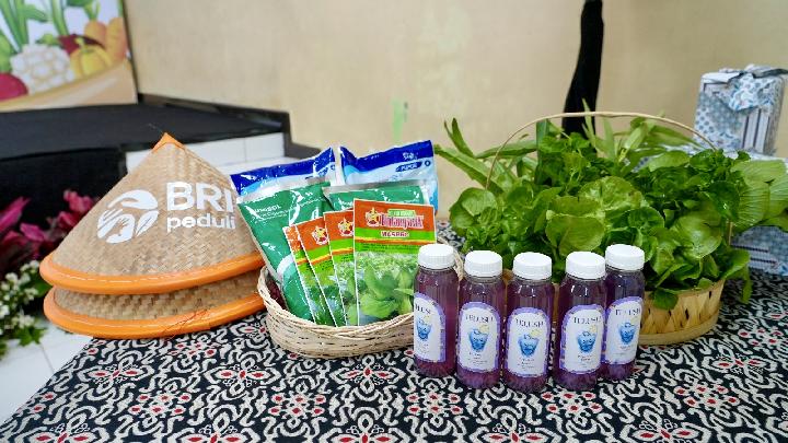 bri-peduli-dukung-ketahanan-pangan-melalui-panen-raya-brinita