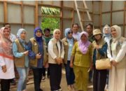 Nita Azis Gerakkan IJP, Ringankan Beban Warga