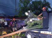 Angin Kencang Robohkan Pohon, Timpa Mobil di Unand