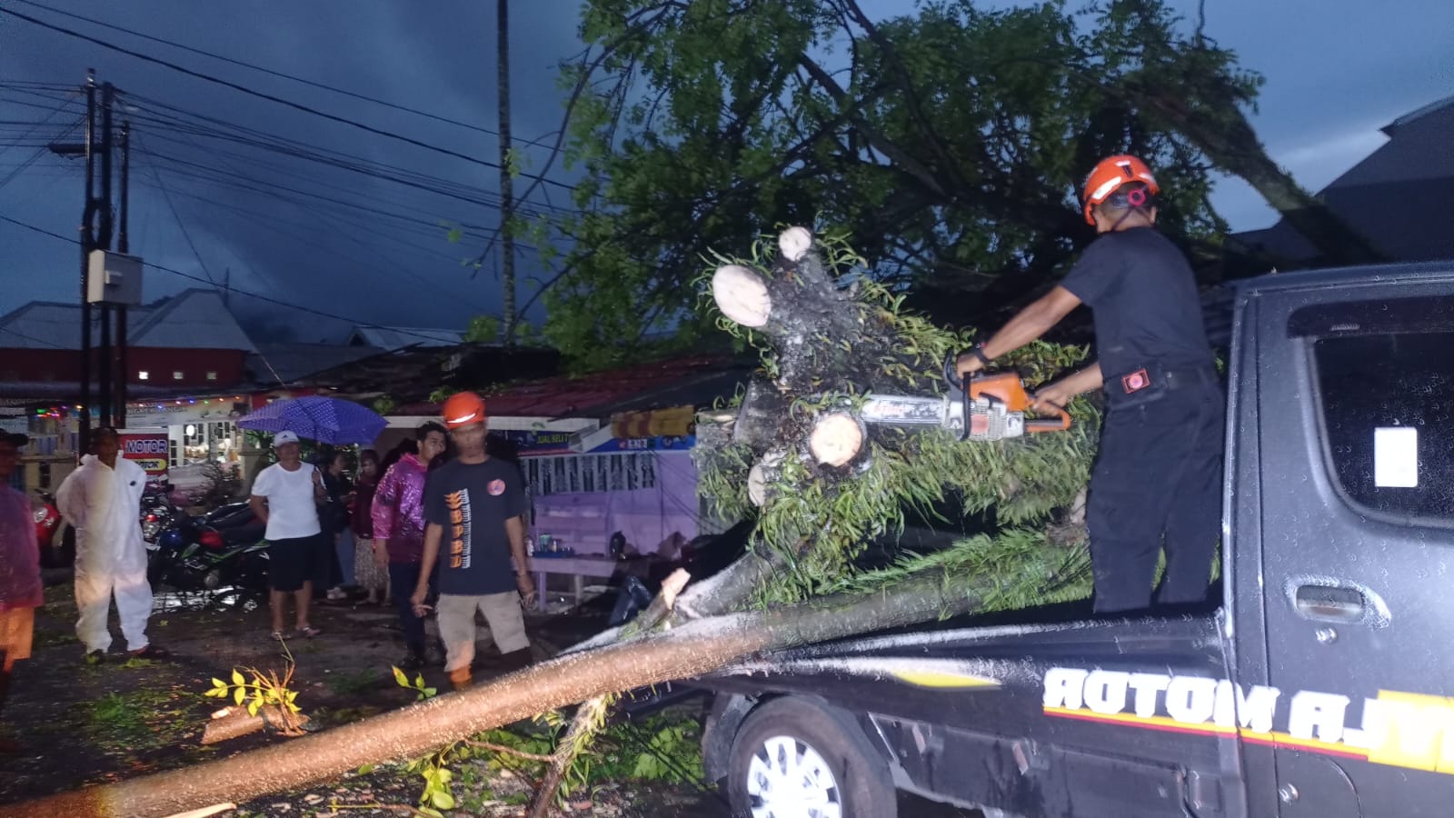 hujan-dan-angin-kencang-melanda,-dua-mobil-di-jalan-perumahan-unand-luki-padang-ditimpa-pohon