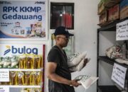 Celios Kritisi Penjaminan Dana Desa di Koperasi Merah