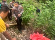 Mayat Bayi Ditemukan, Polisi Buru Pelaku di Bukittinggi